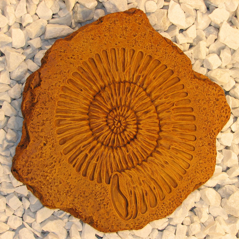 Ammonite Stepping Stone, Terra Cotta