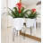 Clent Pot Planter-509738430-453852780