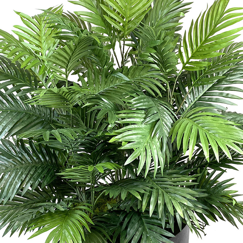 4' Areca Palm Bush In Fiberstone Planter