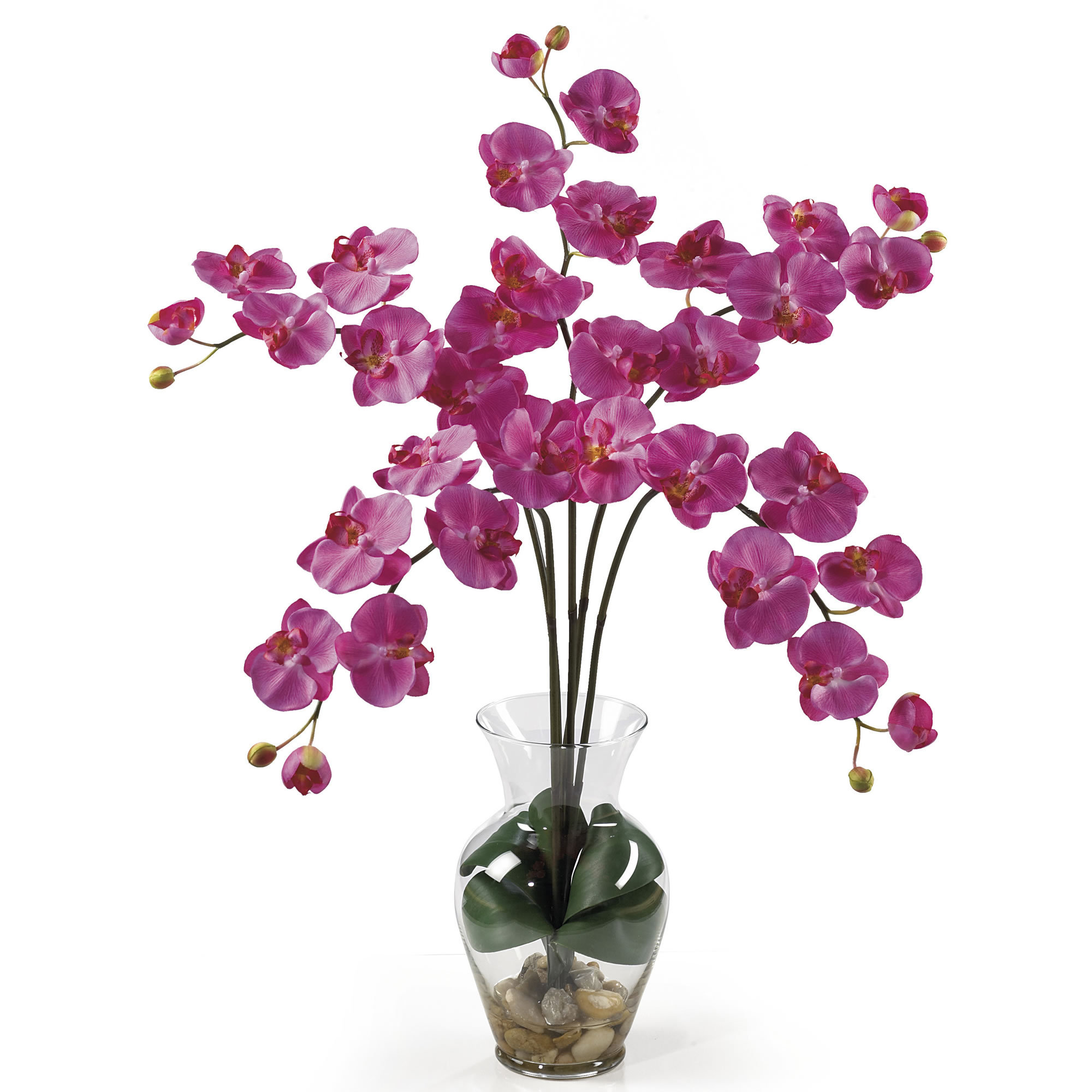 Primrue Phalaenopsis Orchid Floral Arrangement in Vase & Reviews | Wayfair