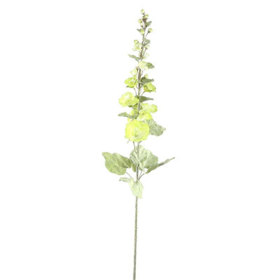 Hollyhock 114cm Plant