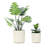 Amilliana Modern 2-piece Round Plastic Planters Indoor or Outdoor-1071053395