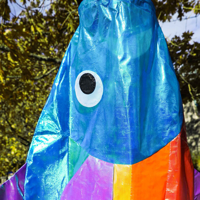 Manche à pêche 48 po arc-en-ciel irisé, Rainbow Fishy