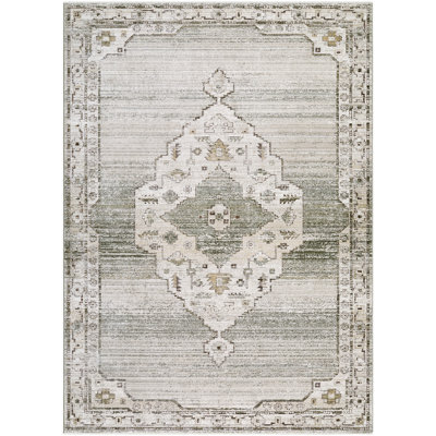 Moroccan Area Rug