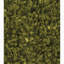 Tapis à aire unie vert moderne Benson-24491448-128908692