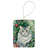 American Curl Cat