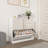 2 Flip Drawers Shoe Storage