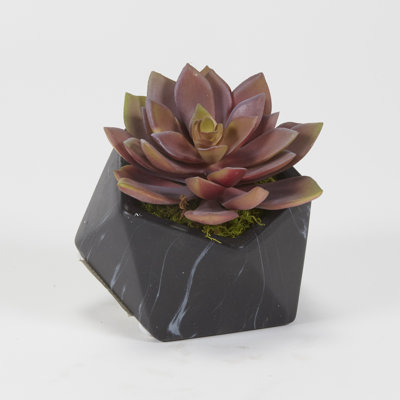 5'' Faux Echeveria Plant in Ceramic Planter