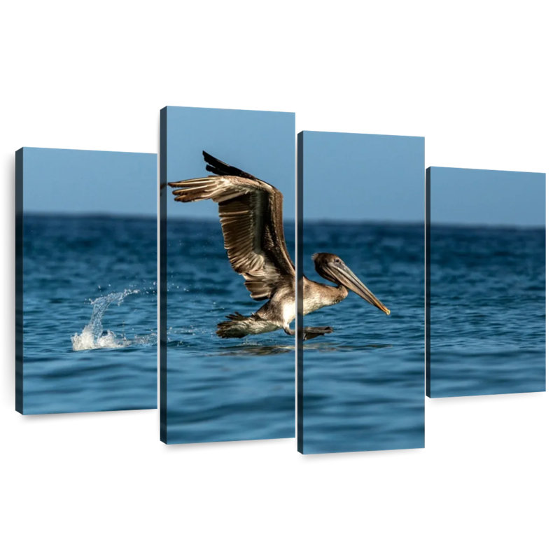 Brampt Pelican Sea Horizon, 42'' H x 68'' W