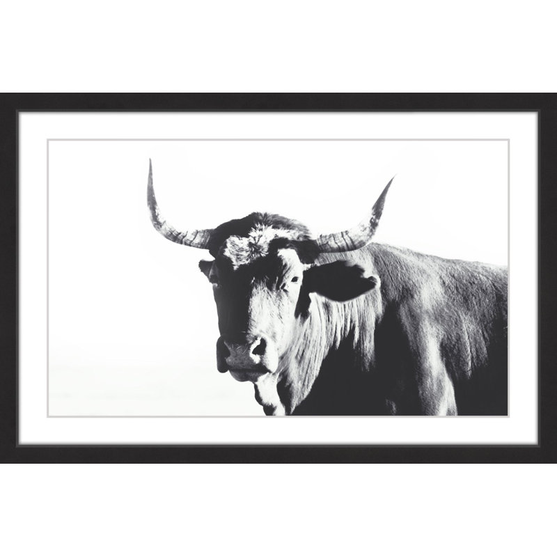 Steer Face - Single Picture Frame Painting, 61cm H x 91cm W x 3.81cm D, Black