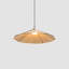 Sepal 1 - Light Cone LED Pendant