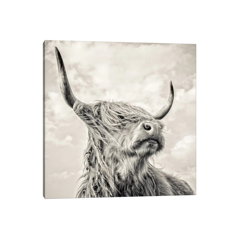 «Magnificence I», reproduction sur toile flottante, Toile tendue, H 12 po x l 12 po x P 0,75 po