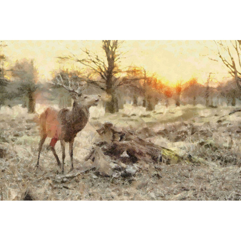 Deer in Field - Photographie sur toile tendue, H 8 po x l 12 po