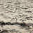Castor Cream Ornamental Medallion Area Rug-500491878