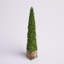 Topiaire de buis Armatha Spring en pot-1161632051
