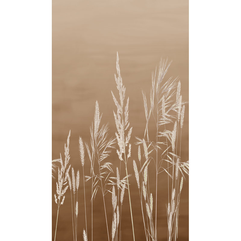 Willow Grass Brown Wall Mural, Brown