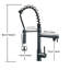 Belfry Kitchen Almena Pull Down Kitchen Faucet