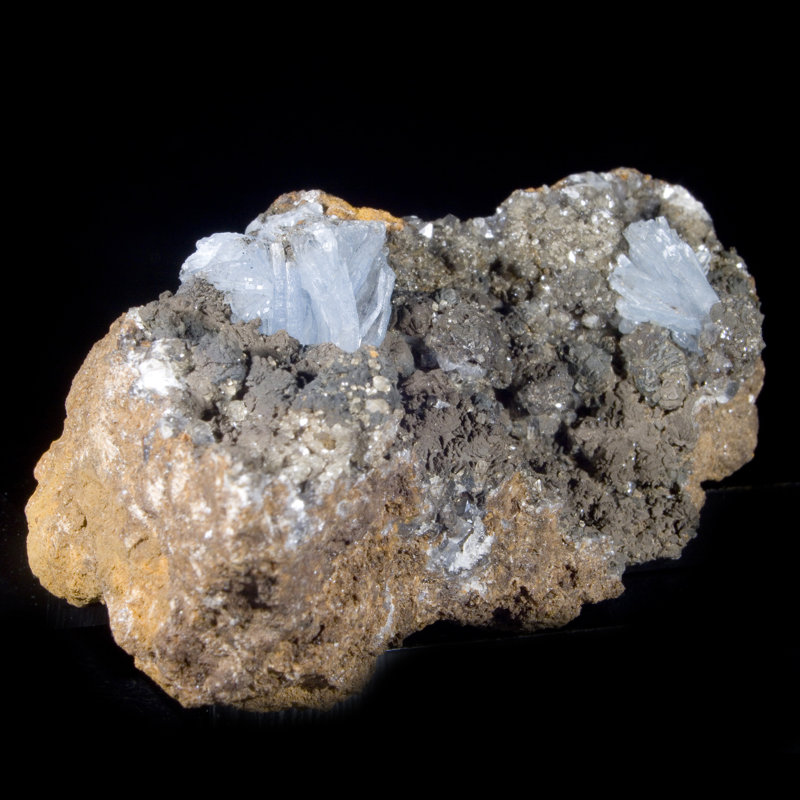 Barite à pales bleues - Jebel Ouichane, Maroc