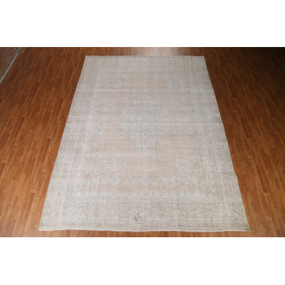 Distressed Muted  Traditional Area Rug 10x13