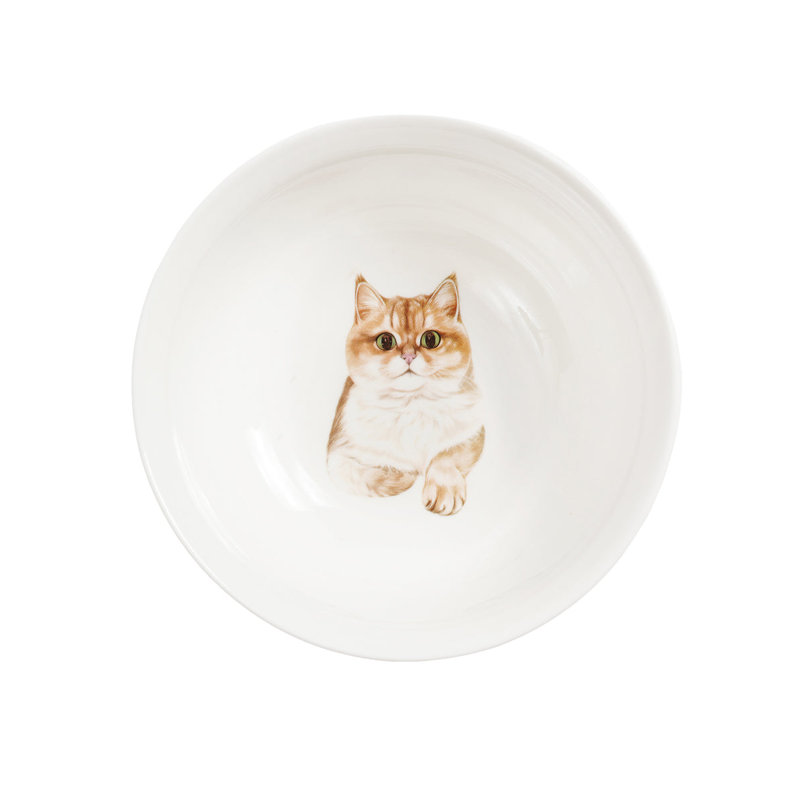 Bol en porcelaine - British Shorthair (doré)