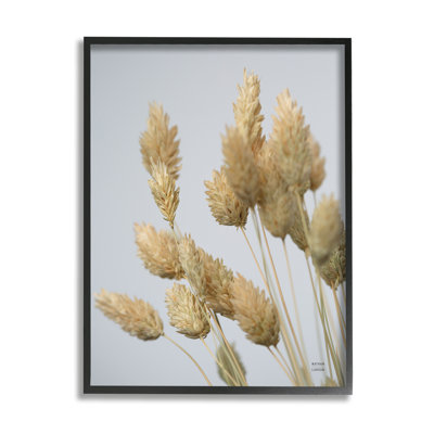 «Calm Pampas Grass Breezy Sky» par Nathan Larson - photographie sur bois