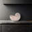 Nautilus Shell