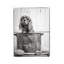 «Vintage Puppy Bath» par Edward M Fielding - photographie sur toile tendue-431221838
