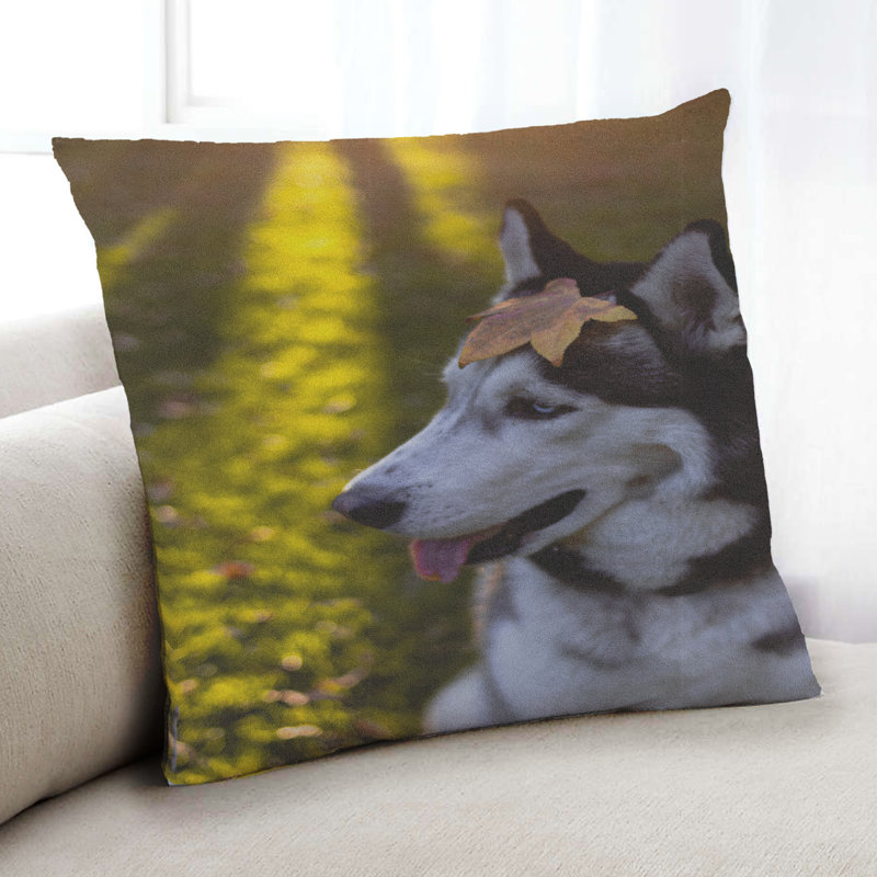 Coussin Dogs Dogs 23, Microsuède