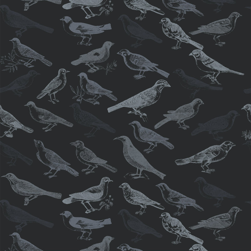 Carreau de papier peint L 10 pi x l 25 po The Signature Tweeter, Noir, Non encollé, Faux Grasscloth