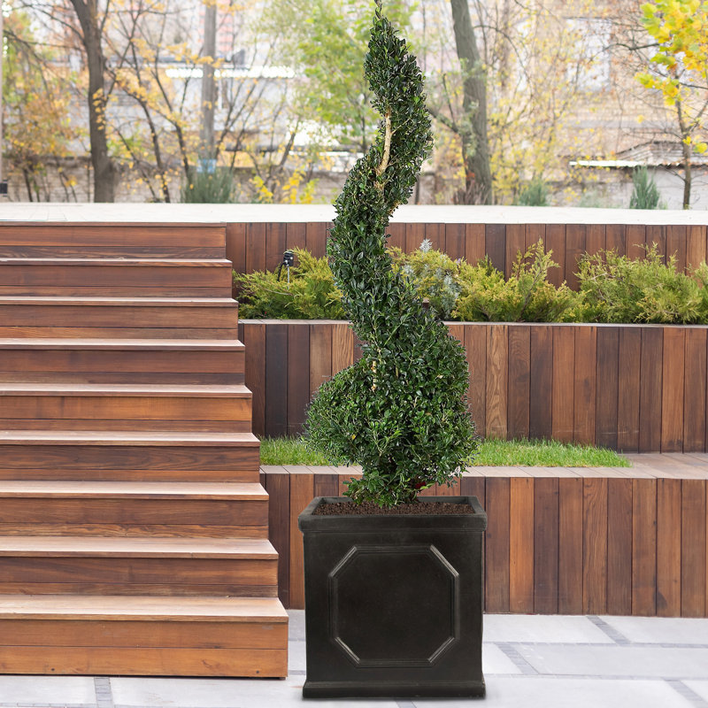 Chelsea Planter Box, Dark Grey, 8.66cm H X 23.66cm W X 8.66cm D