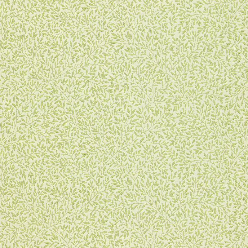 Standen 10.05m x 52cm Matte Wallpaper Roll
