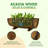 Half Barrel Planter-2040910918