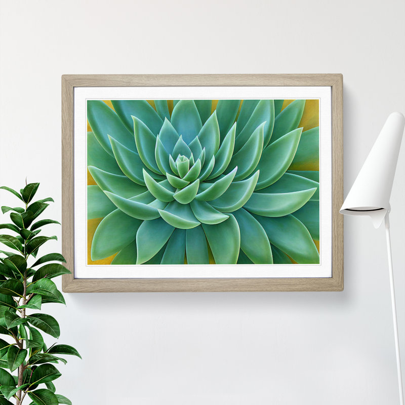 Soulful Succulent Plant - Framed Print, 46cm H x 64cm W x 2cm D, Oak