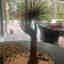 Customer photo 1 of 2