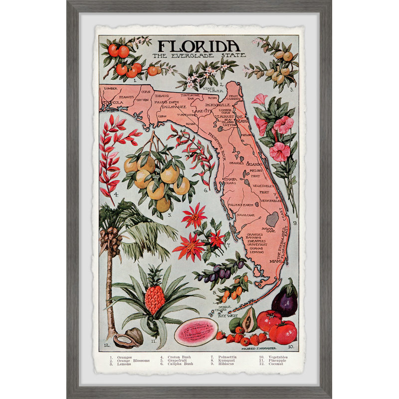 Florida, the Everglade State III - Reproduction d'art graphique sur papier encadré, H 36 po x l 24 po x P 1,5 po