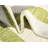 Outdoor Glimmer Area Rug Fern Color-590237074