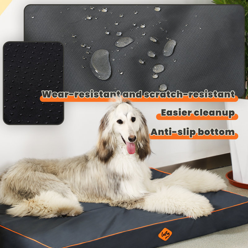 Polyester Pet Bed, 4" H x 44" W x 32" D