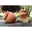Amariae Pot Planter