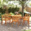 Paizlee Outdoor Lounge Chair