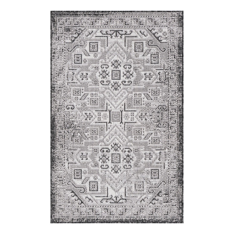 Alucard Indoor / Outdoor Rug, Rectangle 3'3" x 5'3"