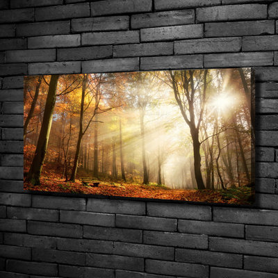 Fog In The Forest - Print