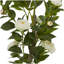 Plante artificielle traditionnelle en pot