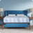 Sealy Dreamlife 10” Medium Foam Mattress-in-a-Box-99280986