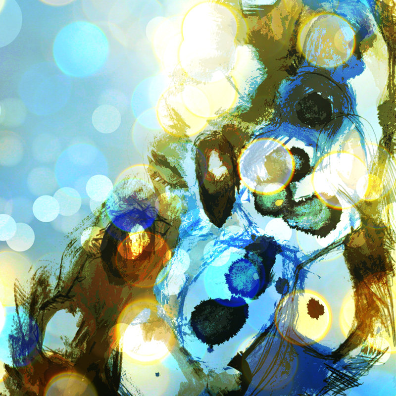 Bulles de plage Deb Haugen, H 12 po x l 12 po, Non, Wrapped Canvas