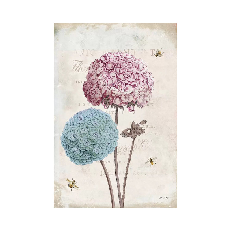 Geranium Study, Pink Flower II by Katie Pertiet - Wrapped Canvas Painting, 20.32 cm H x 30.48 cm W