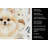 Cream Pomeranian Coffee Bar Kitchen Towel-1168063433
