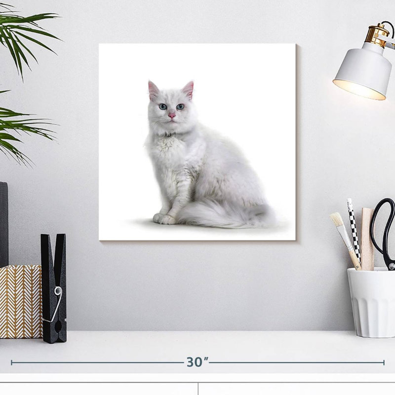 Crowle Elegant White Cat, 16" H x 16" W