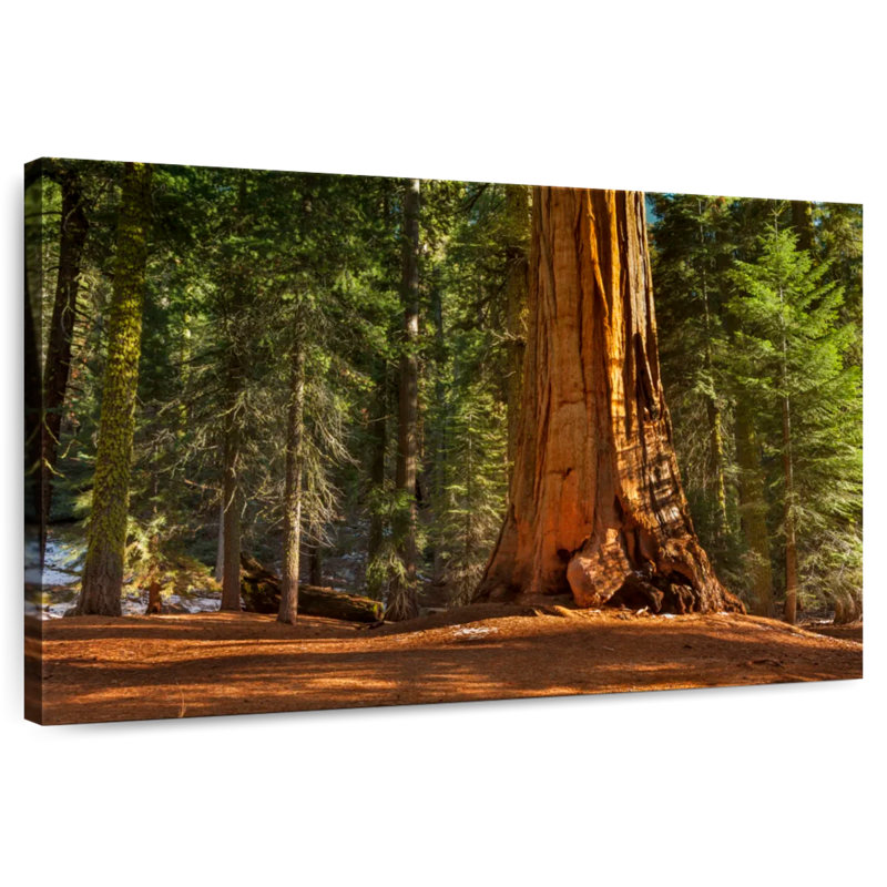 Alvord général Grant Grove arbres