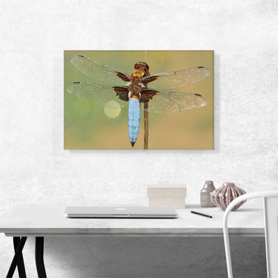 Dragonfly Home Decor - Reproduction de photo sur toile tendue