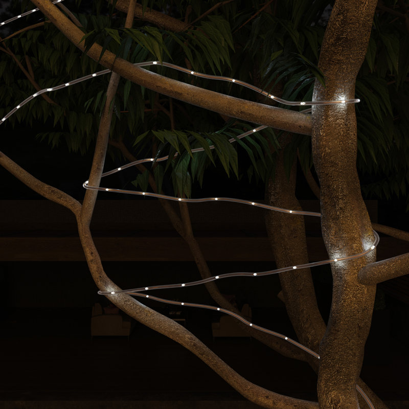 38.65' Outdoor Solar Powered 100 - Bulb Rope String Light, Cool White